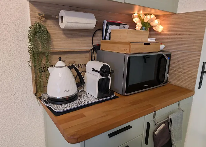 Bellevue 35 Avec Balcon ألبي