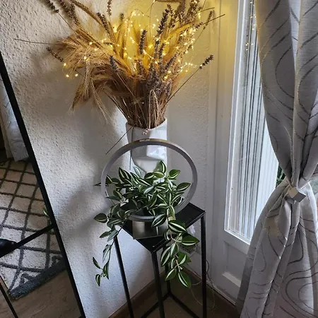 Bellevue 35 Avec Balcon アパート *